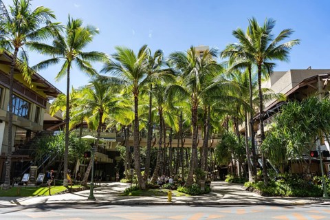 Waikiki, Honolulu