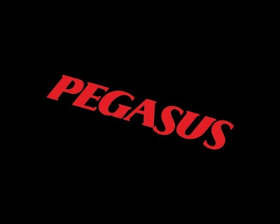 Pegasus Airline, Rotated Logo