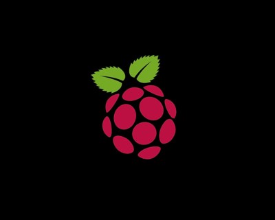 Raspberry Pi, rotated logo