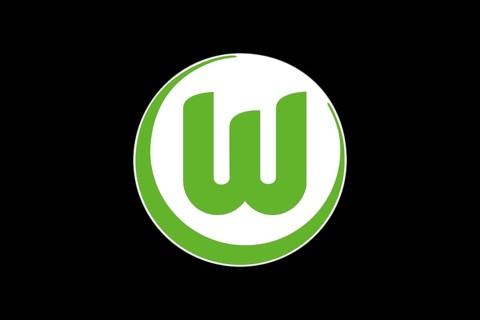 VfL Wolfsburg, Logo