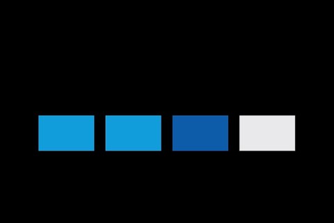 GoPro, Logo