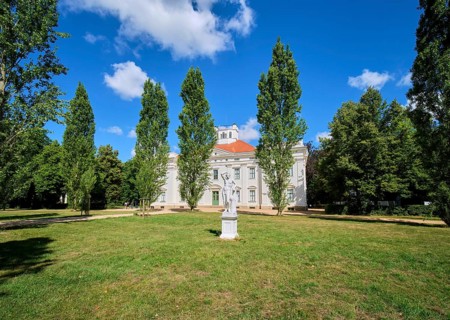 Anhaltische painting gallery Dessau, Georgium Palace