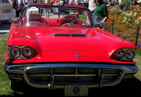 Red Ford Thunderbird, classic car meeting