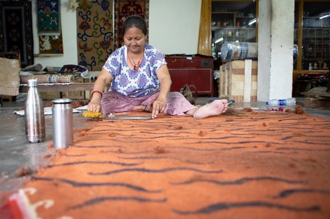 Carpet combing, Dharamsala
