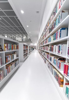 Bookshelves of the Modern Library, Architecture