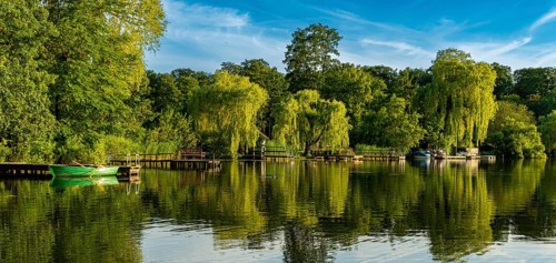 Jetties on the shore of the Ziegelsee, Moelln