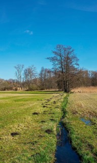 Landscape at the Tegeler Fliess in Luebars, Reinickendorf