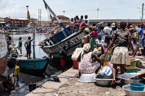 Women, fish seller