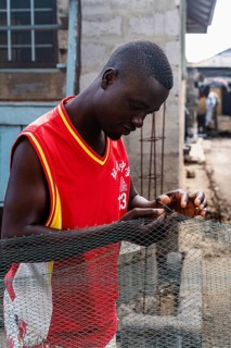 Fisherman mending nets, Elmina