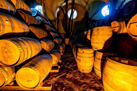 Old storage facility for Tequila barrels, Tequila Factory La Cofradia