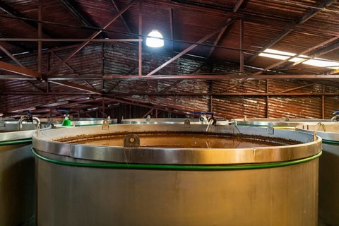 Destillery in the Tequila Factory La Cofradia, Unesco site Tequila