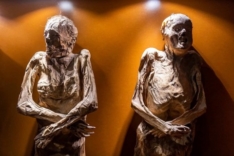 Museum of the Mummies, Unesco site Guanajuato