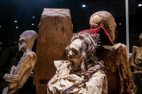 Museum of the Mummies, Unesco site Guanajuato