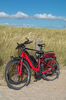 Bicycles, dunes