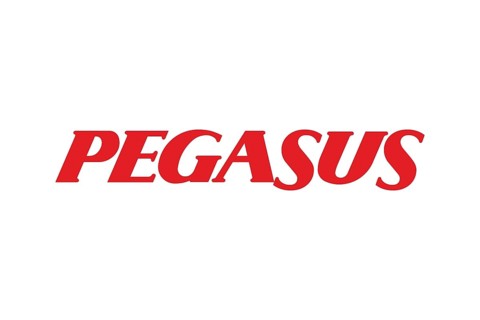 Pegasus Airline, Logo