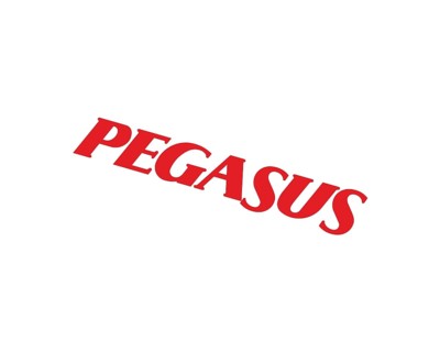 Pegasus Airline, Rotated Logo