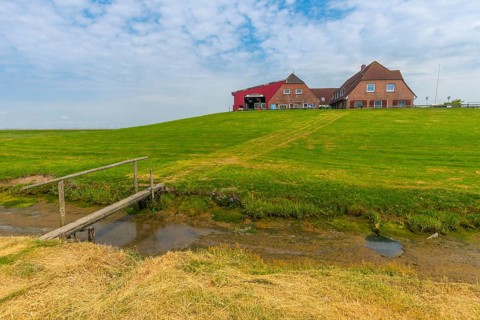 Hallig Nordstrandischmoor, Neuwarft