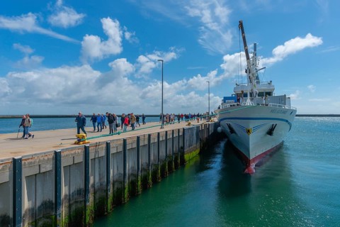 Arrival of an excursion ship in the outer harbour, passengers