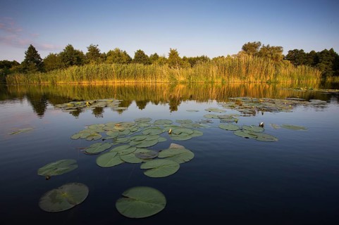 Watercourse section of the Middle Havel, Brandenburg