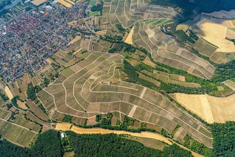 Aerial view of vineyards in Thuengersheim, municipality