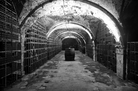 Treasury, secured and temperature-controlled wine cellar of the Hessian State Wine Estates