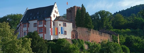 Mildenburg, Miltenberg