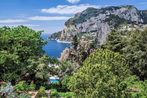 Enchanted garden on the south slope with the Marina Piccola, Capri