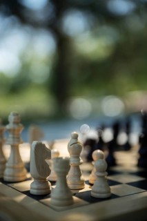 Chess game, wooden pieces