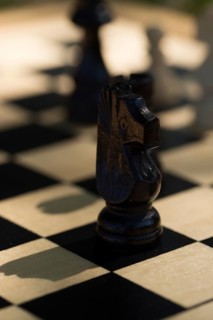Chess game, wooden pieces