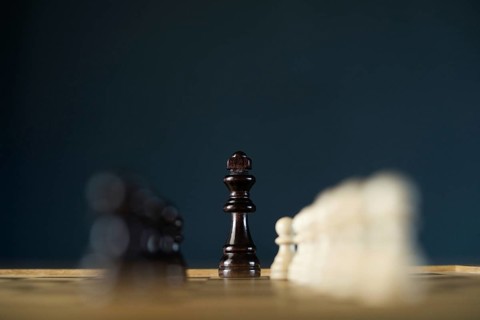 Chess set, wooden pieces