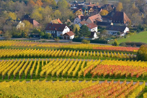 Baden-Wuerttemberg