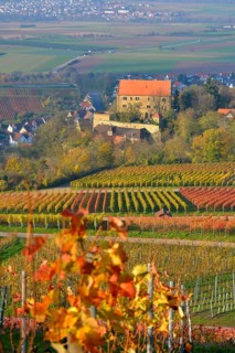 Baden-Wuerttemberg