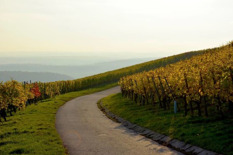 BW. Wuerttemberg