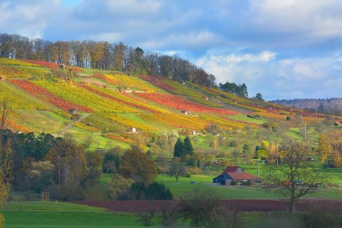 Maulbronn