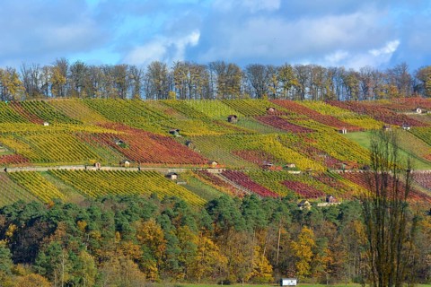 Maulbronn