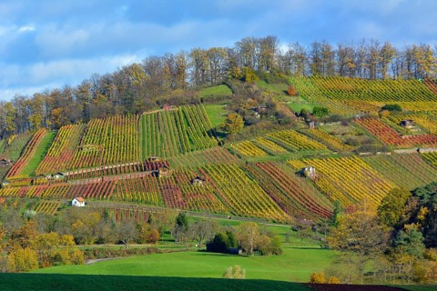 Maulbronn