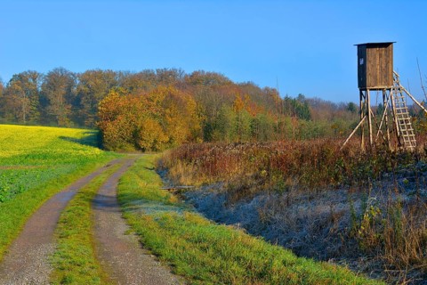 BW. Wuerttemberg Autumn landscape