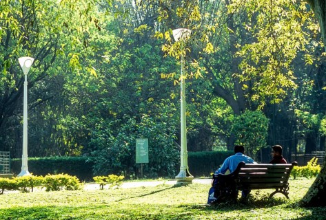 Lal Bagh garden in Bengaluru Bangalore