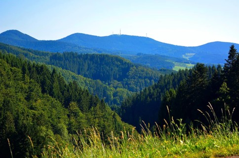 Black Forest