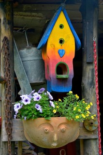 Bird nest box in the garden