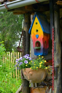 Bird nest box in the garden