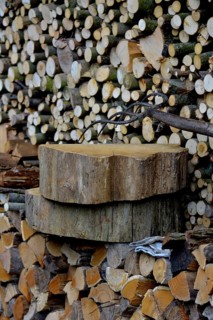 Firewood store