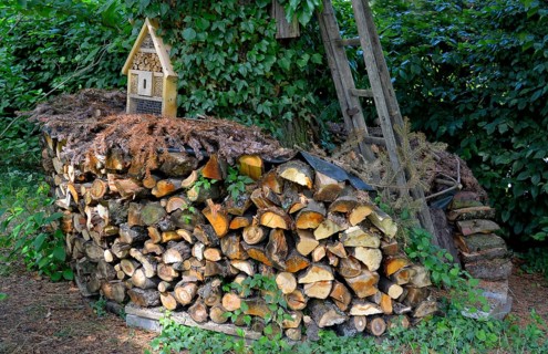 Firewood store in the garden