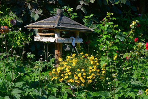Birdhouse with hanging plant flowering
