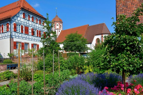 Farm garden