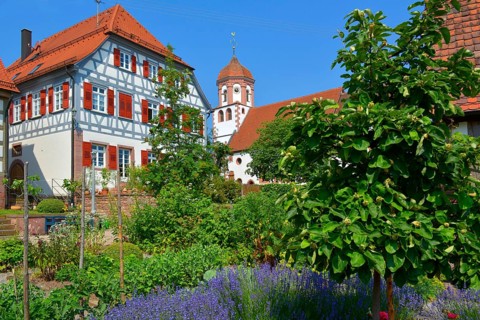 Farm garden