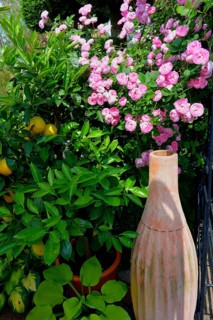 Amphora in the garden