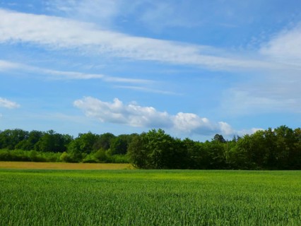 Maulbronn