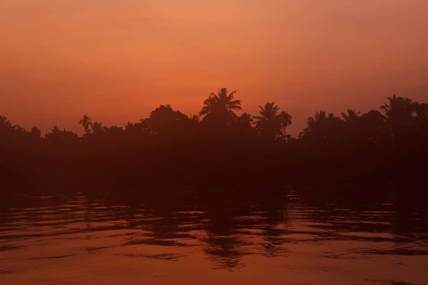 Sunrise on Kerala Backwaters. Kerala