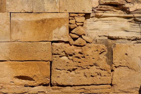 Close-up